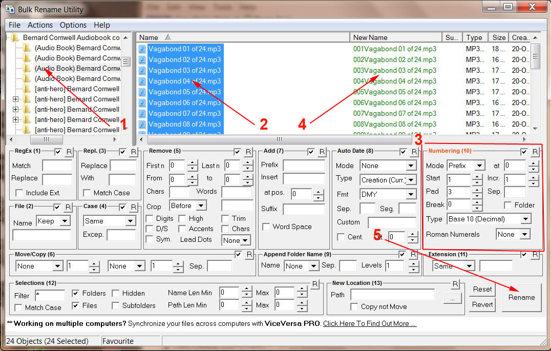 audio file renaming software