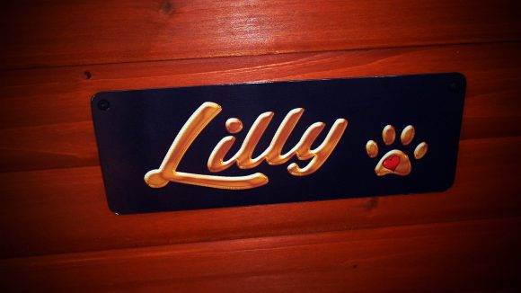 Lilly Sign