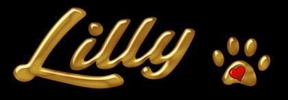 Lilly Tag